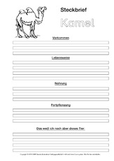 Kamel-Steckbriefvorlage-sw-2.pdf